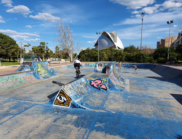 Skatepark del Gulliver
