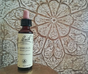 Flacon de fleur de Bach Mimulus de la marque Bach Originals devant un plateau beige.