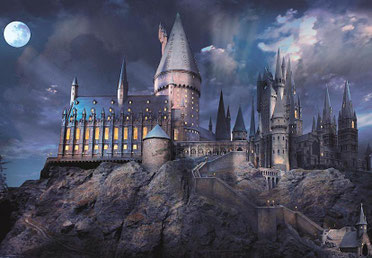 harry-potter-dictee-nuit