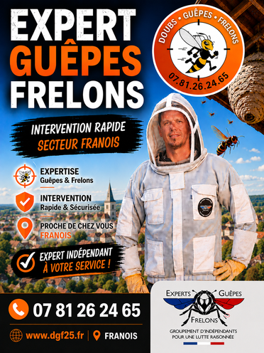 Destruction de nid de guêpes et frelons à Franois dans le Doubs.