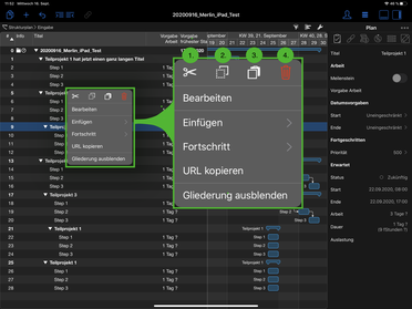 Merlin Project auf dem iPad bearbeiten