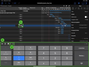 Tastatur in der Merlin Project iPad App