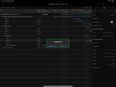 Aktion widerrufen in der Merlin Project iPad App
