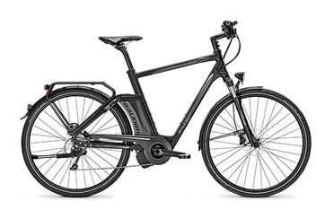 Raleigh Ashford 2015