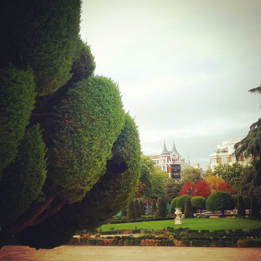 Park El Retiro in Madrid Yoga Meditation