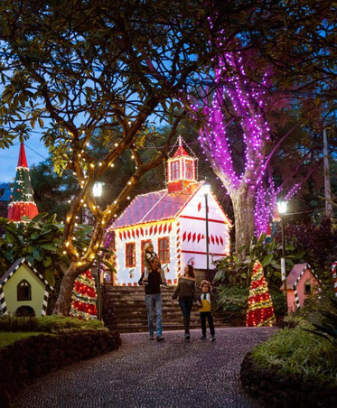 madeira-christmas-portugal