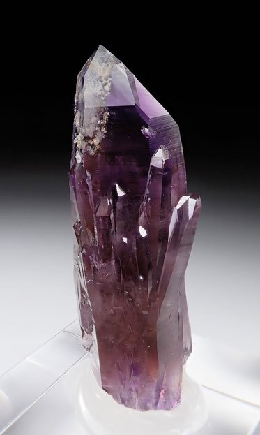 Amethyste Guerrero