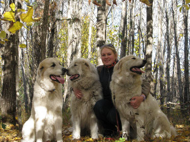 from left: Gabriella Mia la Joie Blanche, Lumienkelin Amatsoni & Echo de'Chien Bellatrix. Photo October 2013