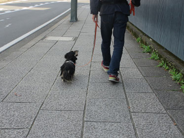 散歩