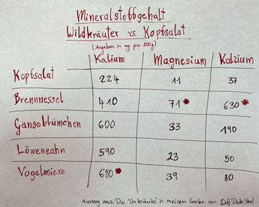 Tabelle, in der Beispiele genannt werden für den Mineralstoffgehalt von Wildkräutern versus Kopfsalat.