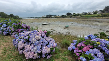 2024 (juillet) - La Ria d'Etel / Saint Cado