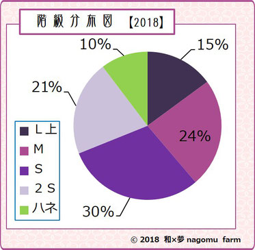 『ミスなでしこⓇ』 階級分布グラフ【2018】 和×夢 nagomu farm