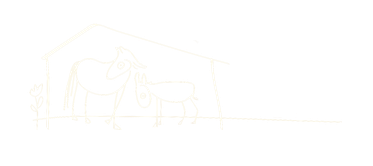 ninovan2020s Webseite!