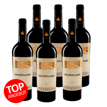 6-er Weinpaket | The Vine in Flames Merlot 2016