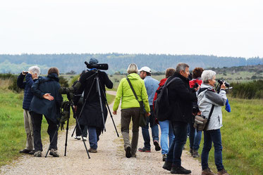 Die Teilnehmer beim Beobachten über der Dreiborner Hochfläche     -Foto: Marion Zöller