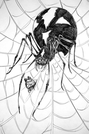 spider drawing traditional art pencil