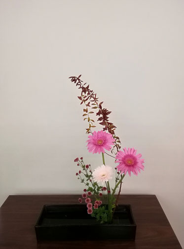 ガーベラ 花みやび愛好会 花雅流の生け花や茶花を学ぶ聖心女子大学の愛好会 ガーベラ 花みやび愛好会 花雅流の生け花や茶花を学ぶ聖心女子大学の愛好会