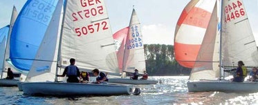 420er Regatta