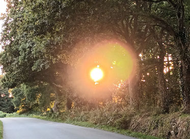 Schutzengelbotschaft, Akasha Chronik Reading, Sonia Gembus