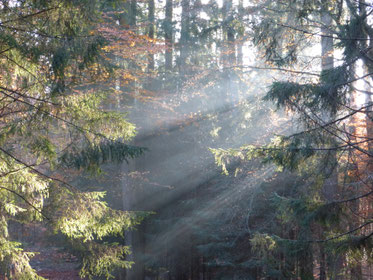 Energie-Coaching, Sonia Gembus