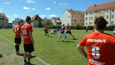 GSBV Halle - GSC Kassel