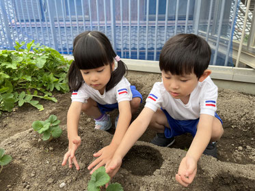 そ〜っとお砂をかけようね！