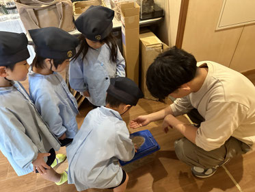 「コオロギ食べるかな?」