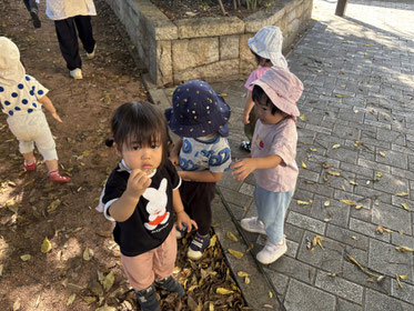 どんぐりあった!