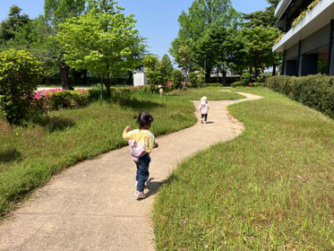 たんぽぽみーつけた!