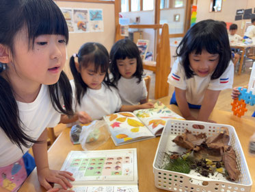 これといっしょだ!