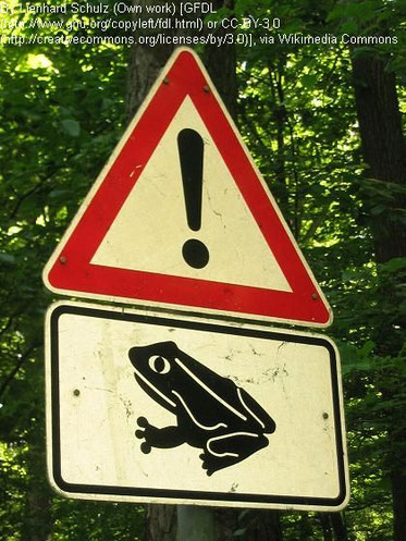 By Lienhard Schulz (Own work) [GFDL (http://www.gnu.org/copyleft/fdl.html) or CC-BY-3.0 (http://creativecommons.org/licenses/by/3.0)], via Wikimedia Commons