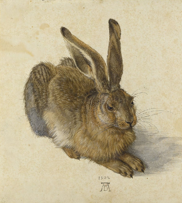 Le lièvre - 1502 du peintre allemand Albrecht Dürer