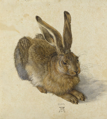 Le lièvre - 1502 du peintre allemand Albrecht Dürer 