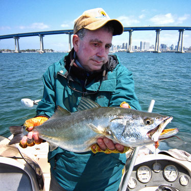 Shortfin Corvina caught fly fishing on San Diego Bay