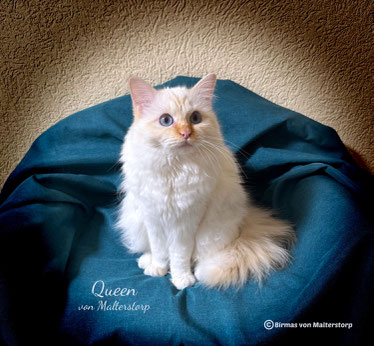 Queen von Malterstorp