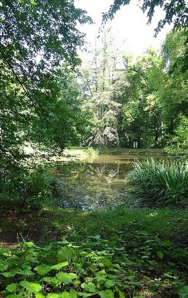Im Hirschgarten