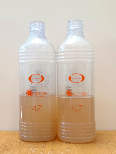 ベルジュバンス デトックス