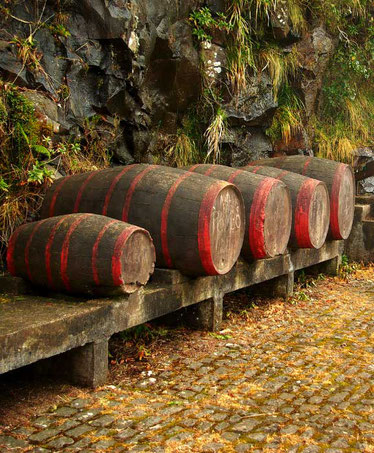 Food-and-Wine-Walking-Tour-in-funchal-best-things-to-do-madeira