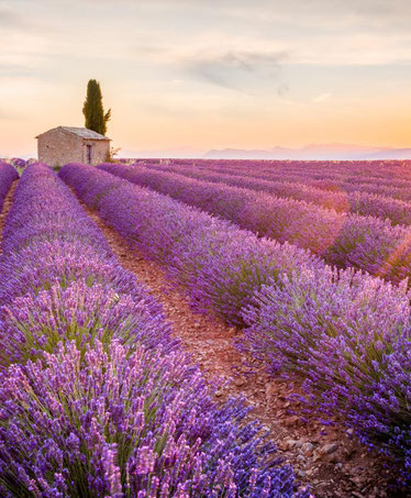 Aix-en-Provence-romantic-destination-France