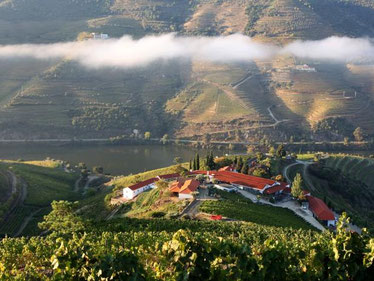 Quinta Nova Winery House Douro