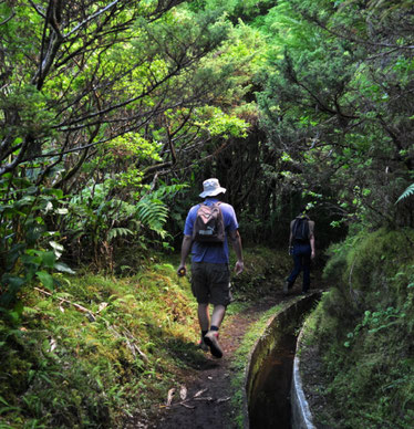 Tourism-Faial-Azores-Portugal