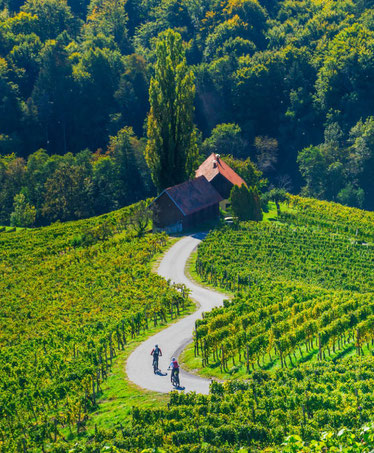Stajerska-Region