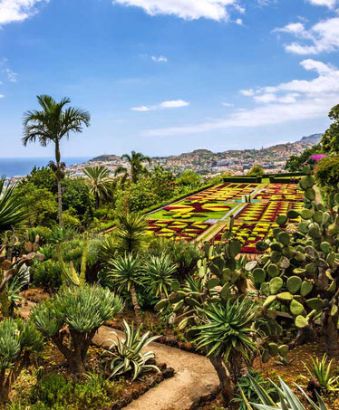 funchal-botanical-garden-garden-top-things-to-do-madeira