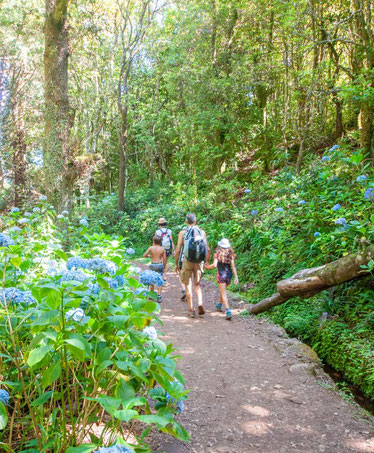 family-holidays-madeira-with-kids