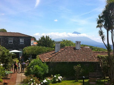 Quinta das Buganvilias