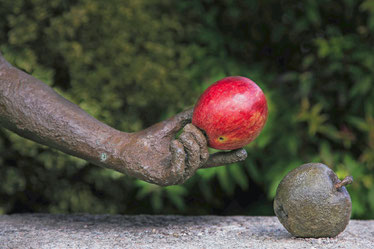 Original und Fälschung#Skulptur#Stillleben#Was ist was#Roland Valter#rolva#Natur-Fotografie#Aachen 