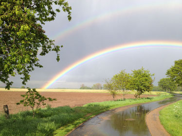 Entlang der Ems: Natur pur.