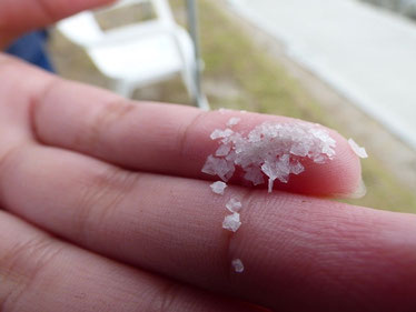 EBISU SURF Made SALT !! いかがですか? タダですよ(笑)