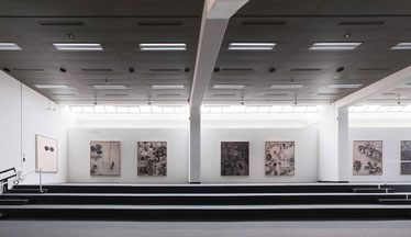 2009 "Antonym", Wilhelm-Hack Museum, Ludwigshafen