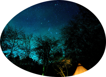 星空も綺麗に見えるKobittoの画像